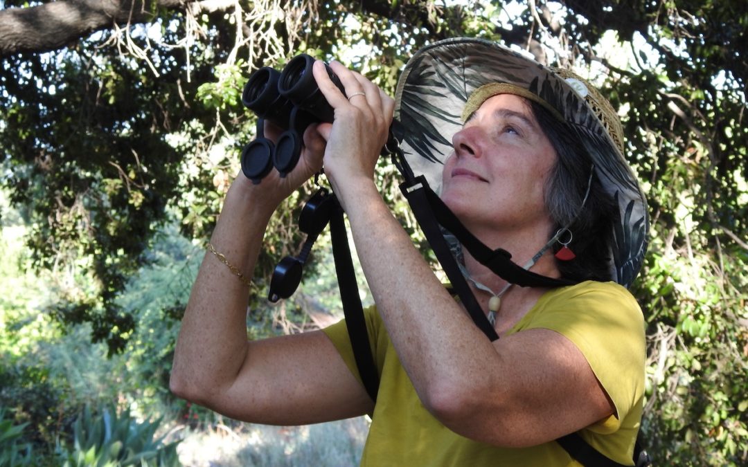 Pasadena Audubon: Conservation and the Pleasures of Birding w/ Lois Brunet
