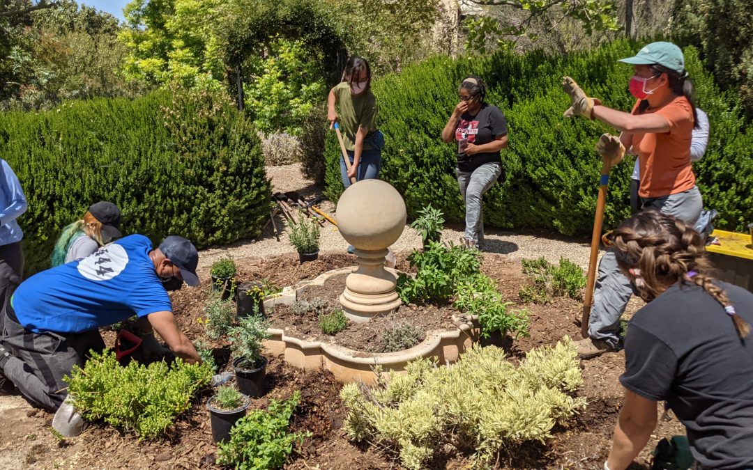 A Climate Change Garden