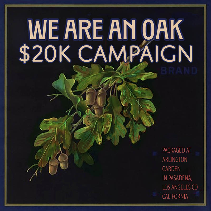 we are an oak campaign community garden fundraising we are an oak campaign community garden fundraising