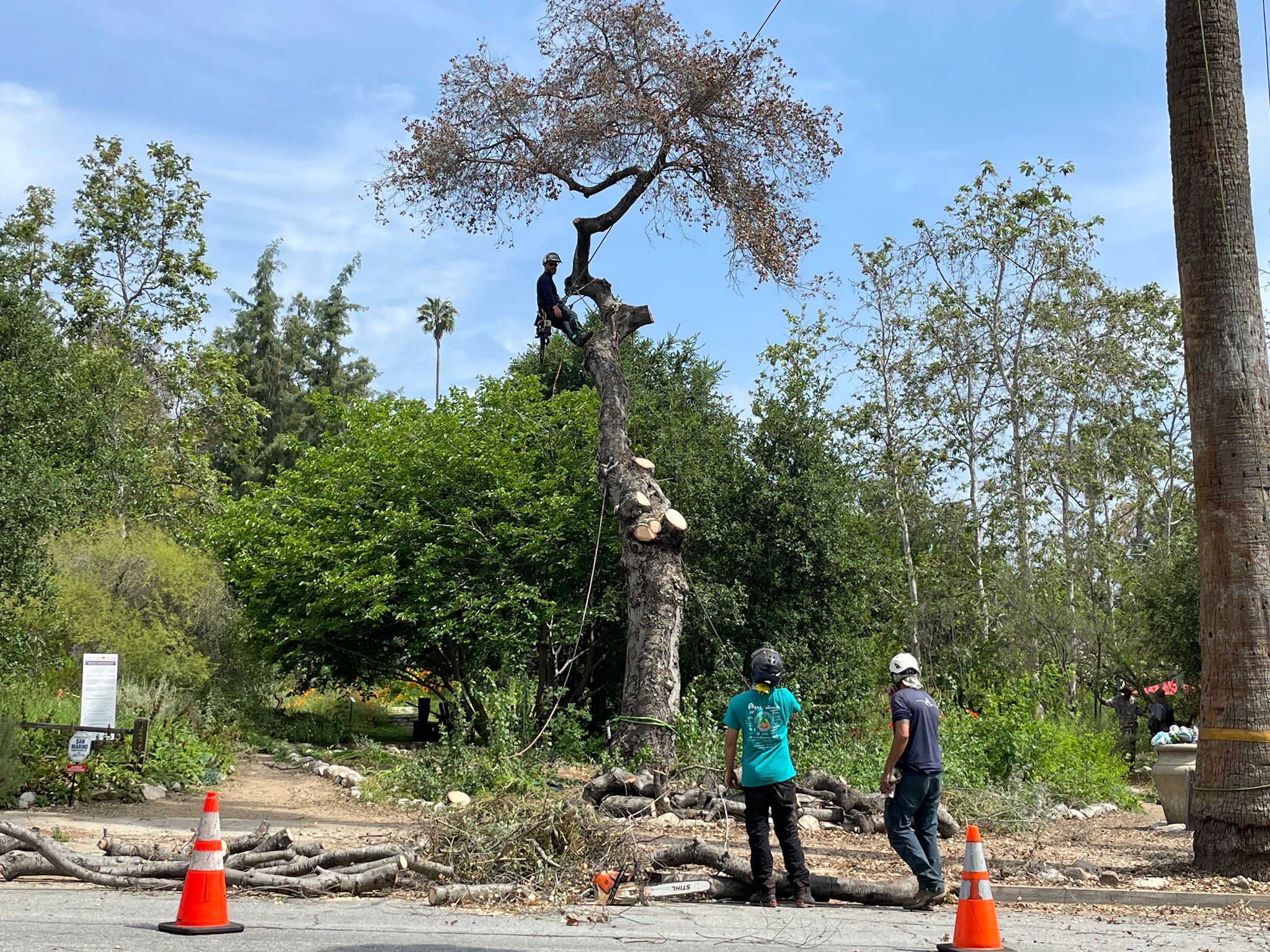 97c352b0-3bf7-4341-9943-dde4a0ea6339 we are an oak campaign community garden fundraising